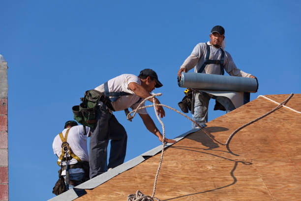 Best Roof Leak Repair  in Round Lake, IL