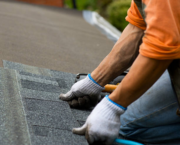 Best Flat Roof Repair Services  in Round Lake, IL
